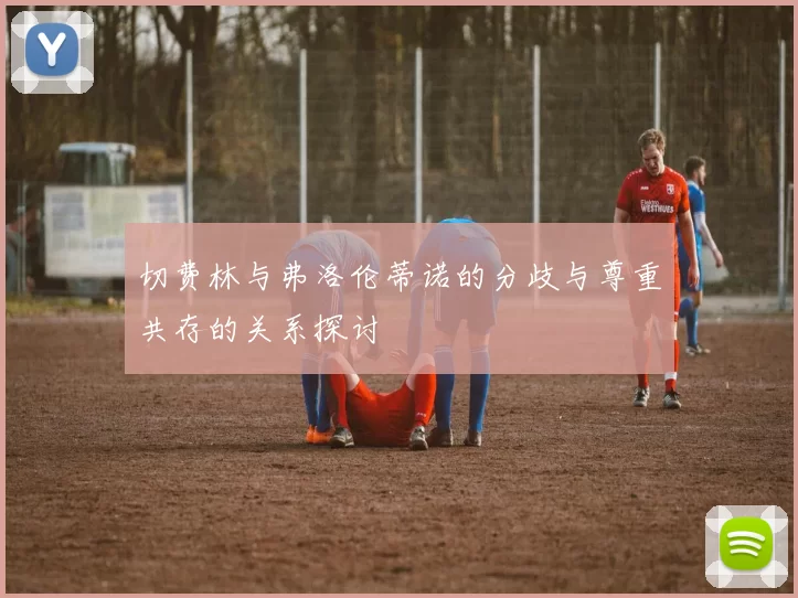 切费林与弗洛伦蒂诺的分歧与尊重共存的关系探讨