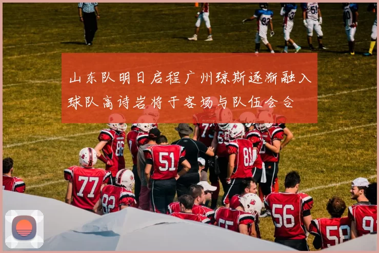 山东队明日启程广州琼斯逐渐融入球队高诗岩将于客场与队伍会合