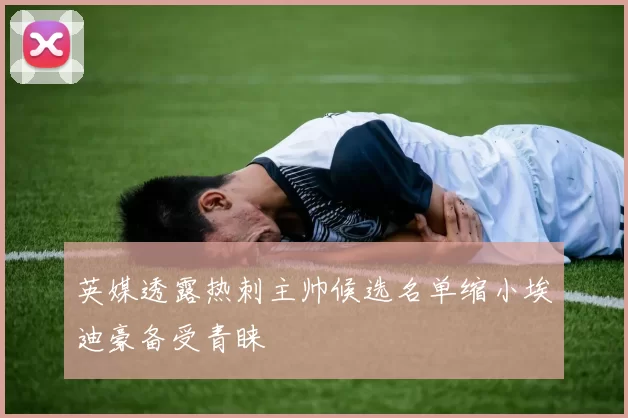 英媒透露热刺主帅候选名单缩小埃迪豪备受青睐